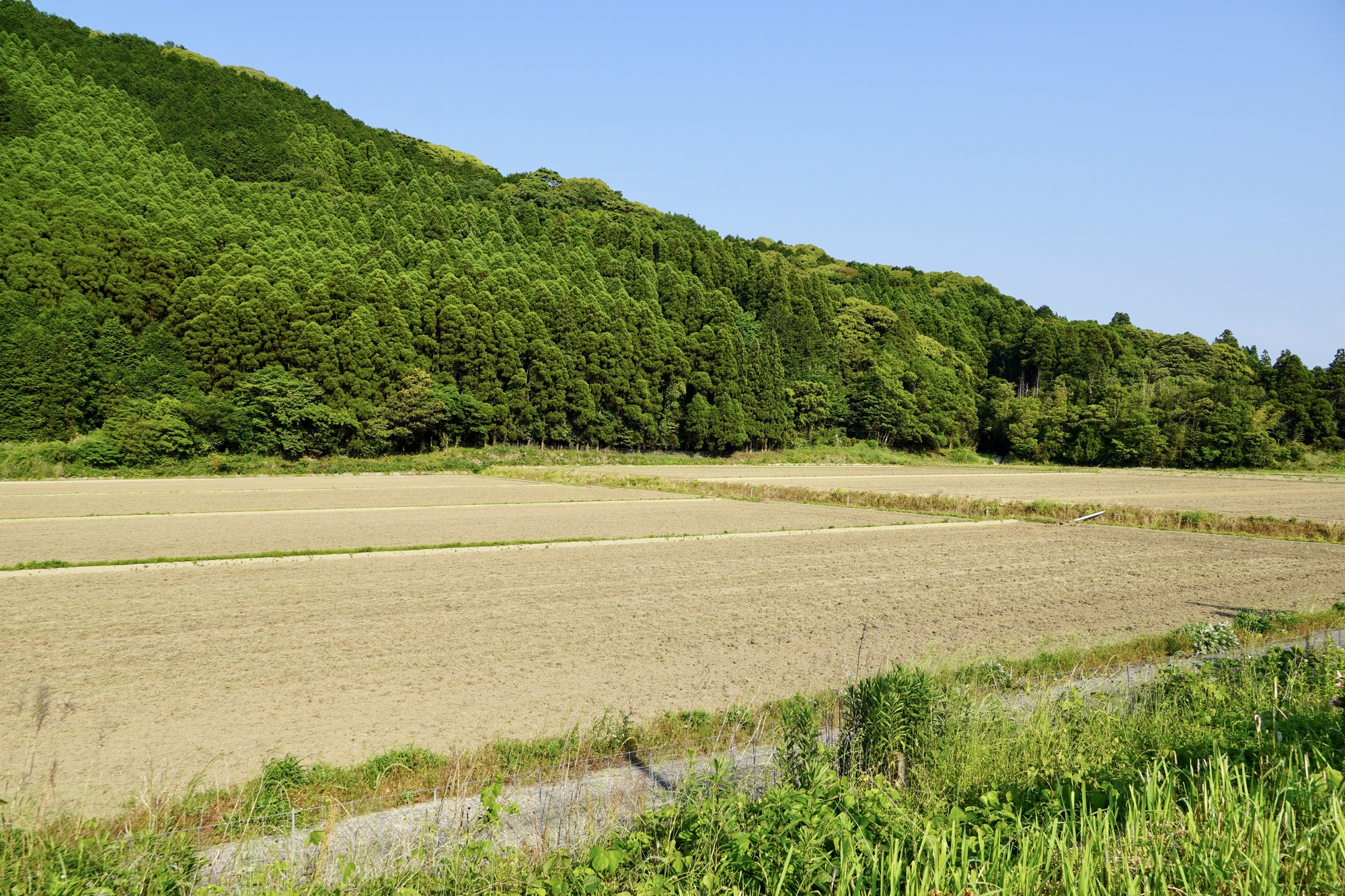 個人で農地（畑・田）を借りるには？条件やポイントを解説 - 第一包装資材